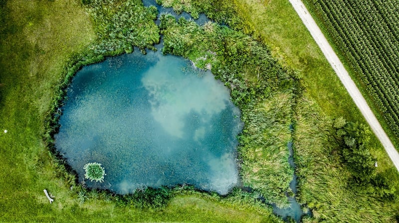 Reflective Pond